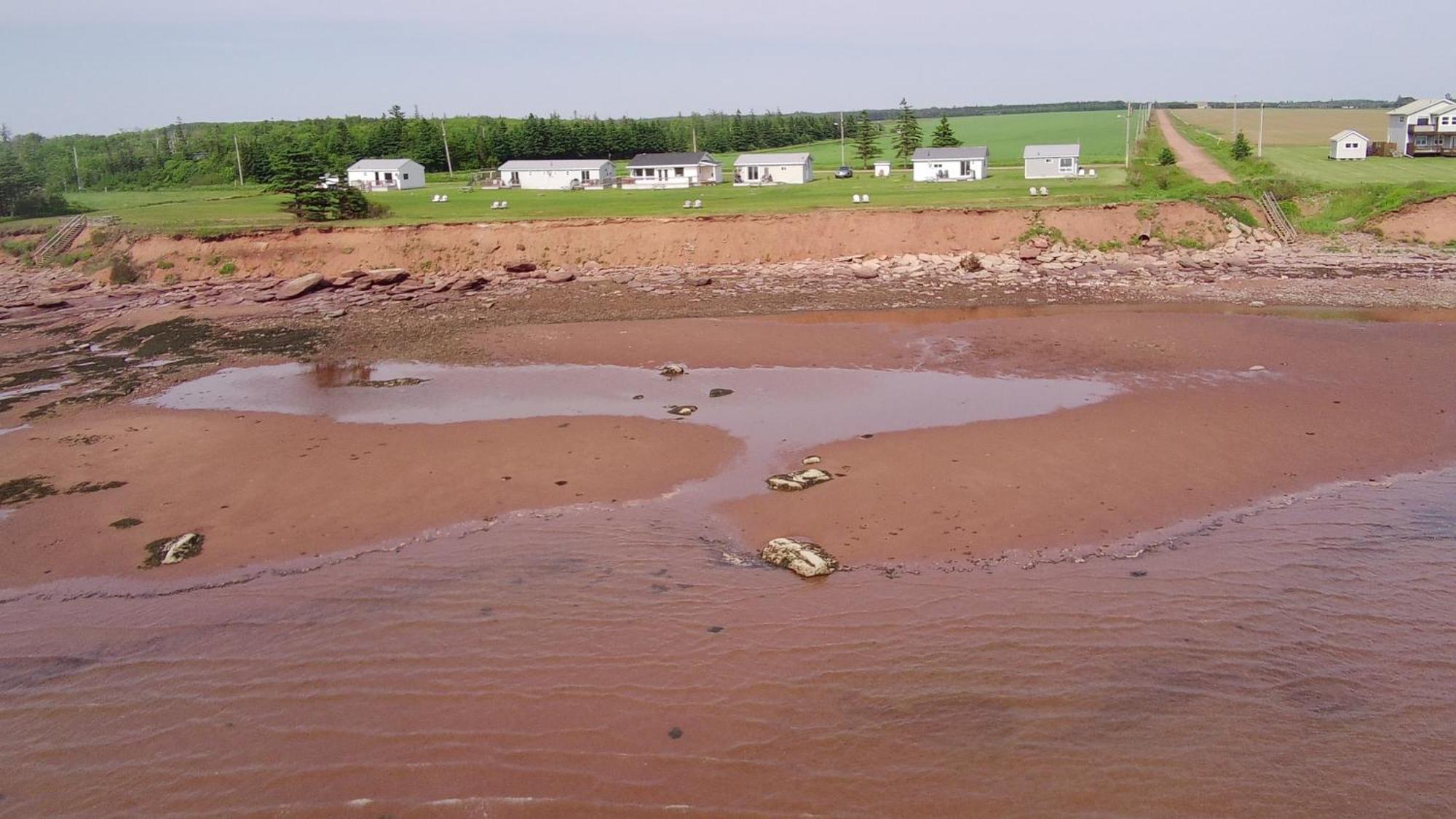 Cottages On Pei-Oceanfront Bedeque Bagian luar foto