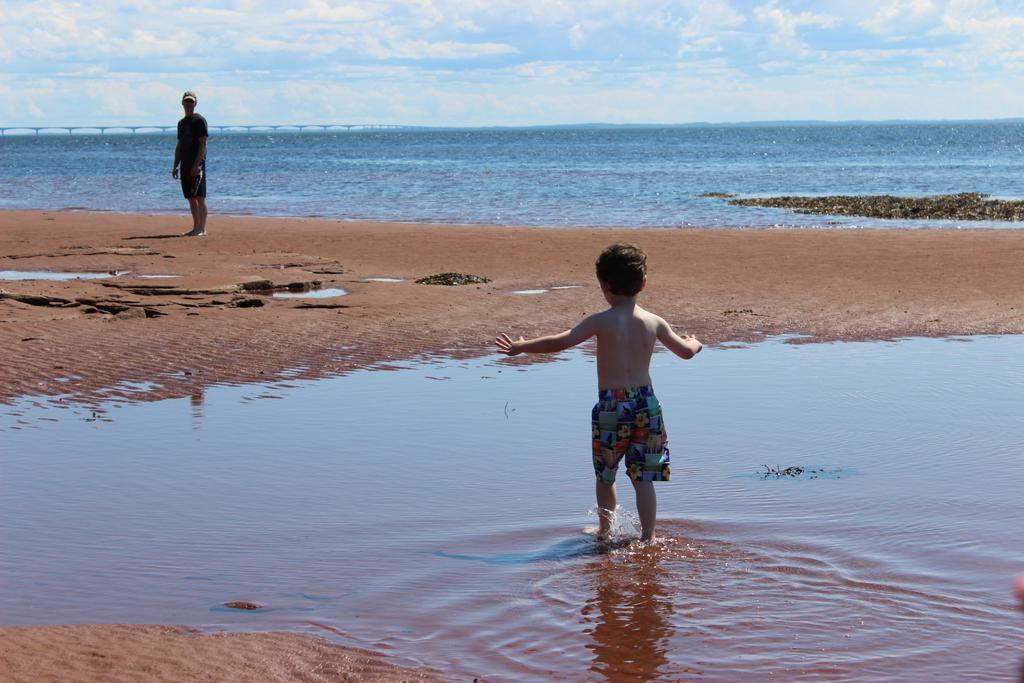 Cottages On Pei-Oceanfront Bedeque Bagian luar foto